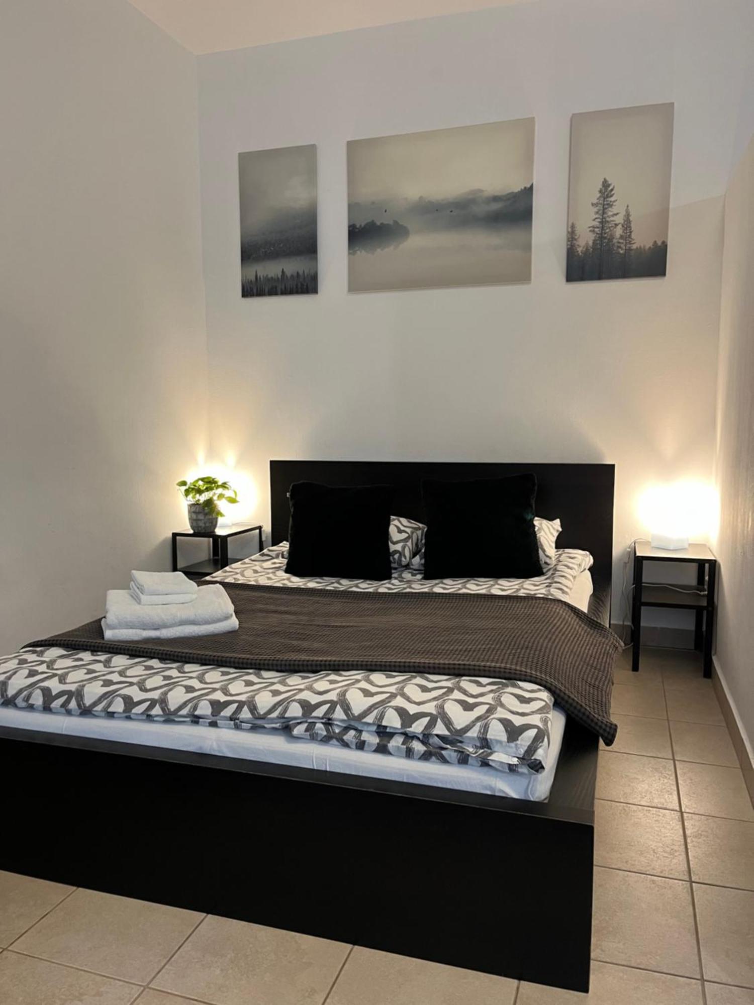 Downtown Rose Garden Apartments Whit Garage Opcional 부다페스트 외부 사진