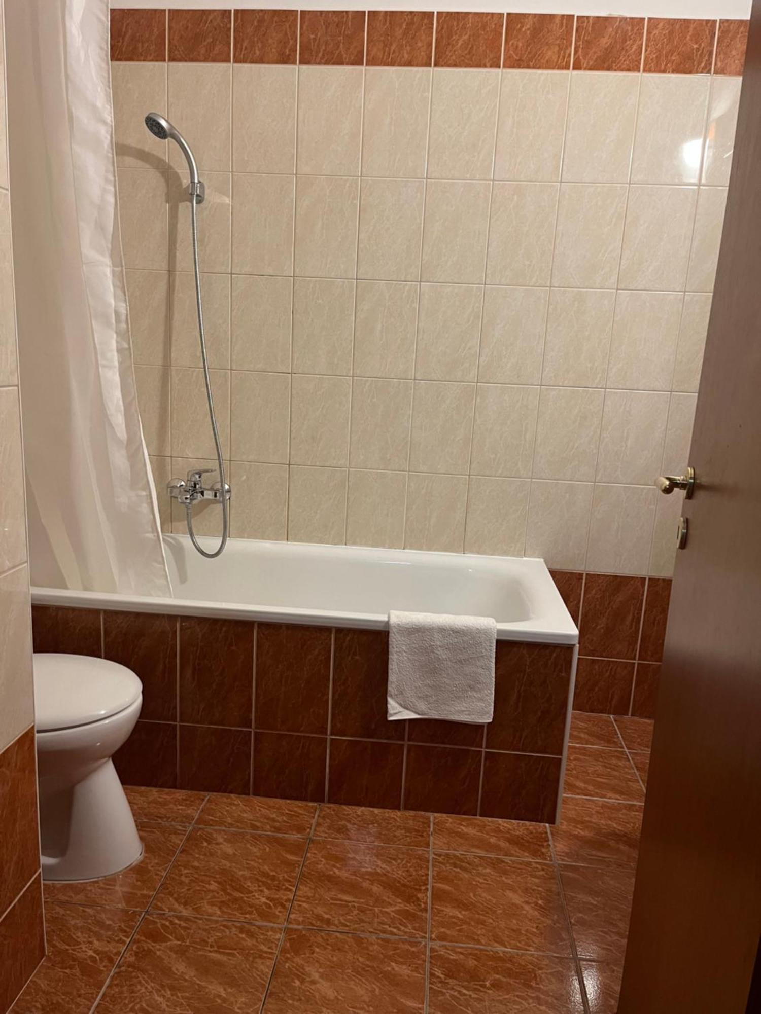 Downtown Rose Garden Apartments Whit Garage Opcional 부다페스트 외부 사진